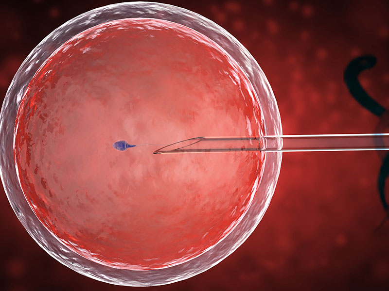 Ankara Tüp Bebek Merkezi