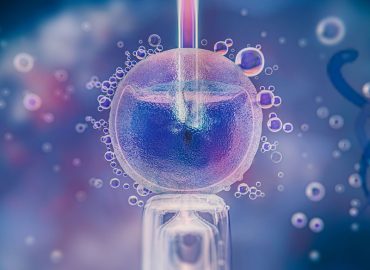 Tüp Bebek Tüp Bebek