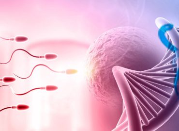 Ankara Çankaya Tüp Bebek Merkezi Ankara Çankaya Tüp Bebek Merkezi