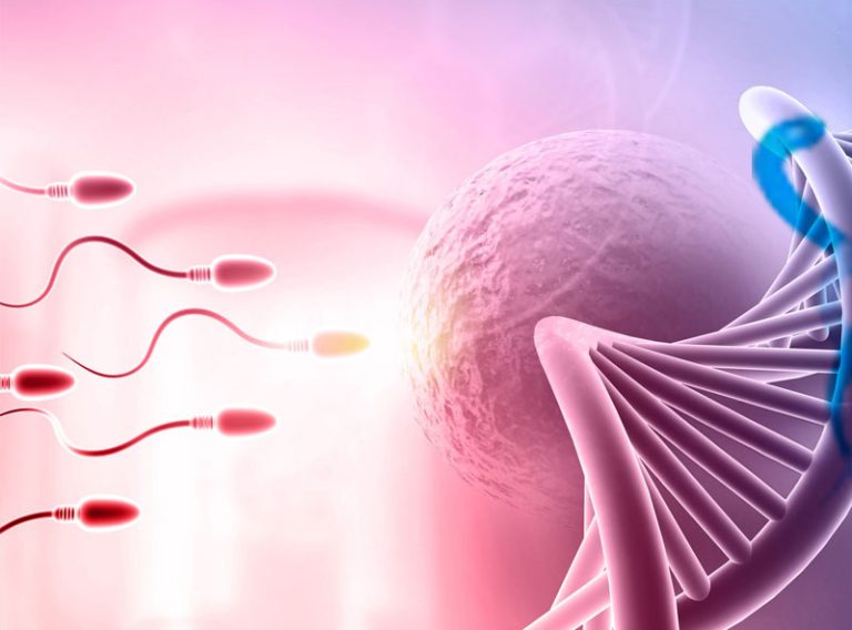 Ankara Çankaya Tüp Bebek Merkezi