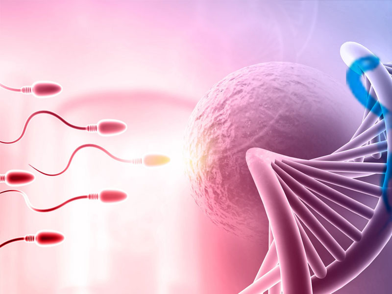 Ankara Çankaya Tüp Bebek Merkezi