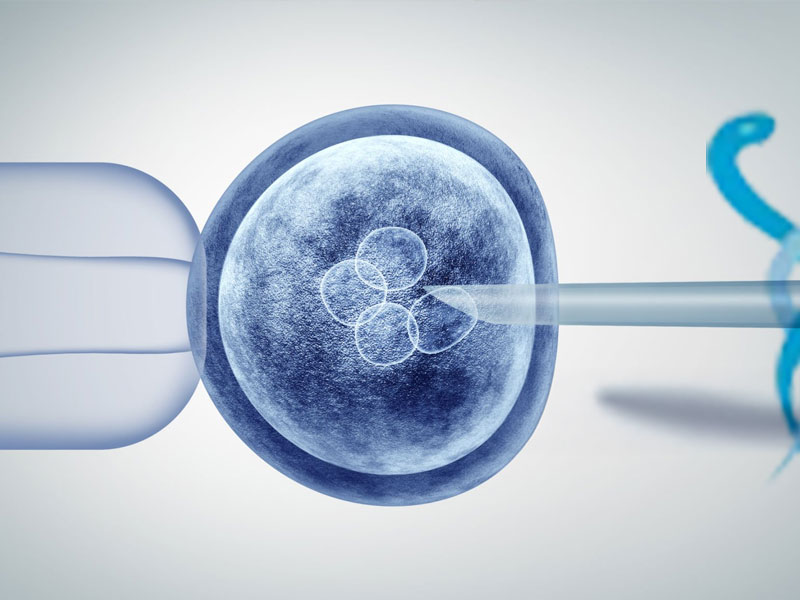 Özel Tüp Bebek Merkezi