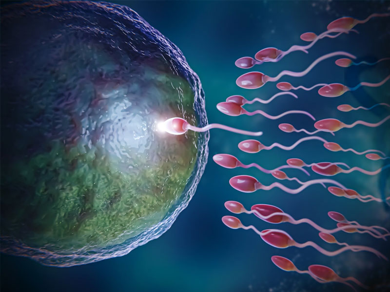 Tüp Bebek Aşılama